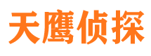 乐都市私家侦探